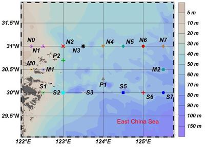 Structure and assembly process of fungal communities in the Yangtze River Estuary